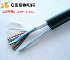 (嘉兴)(ZBN-DJF46GP2-22硅橡胶计算机电缆)