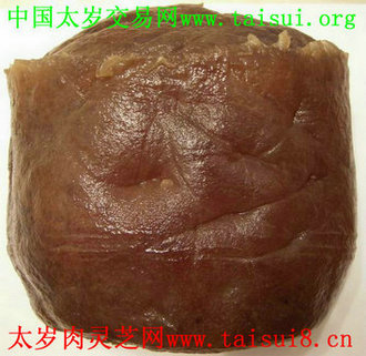 茶子油价格_茶子油_茶子油生产供应商_尽在搜